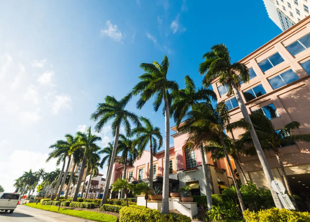 Palm trees and buildings in sunny Florida. Discover Expert Tile & Flooring, top tile installation services nearby.