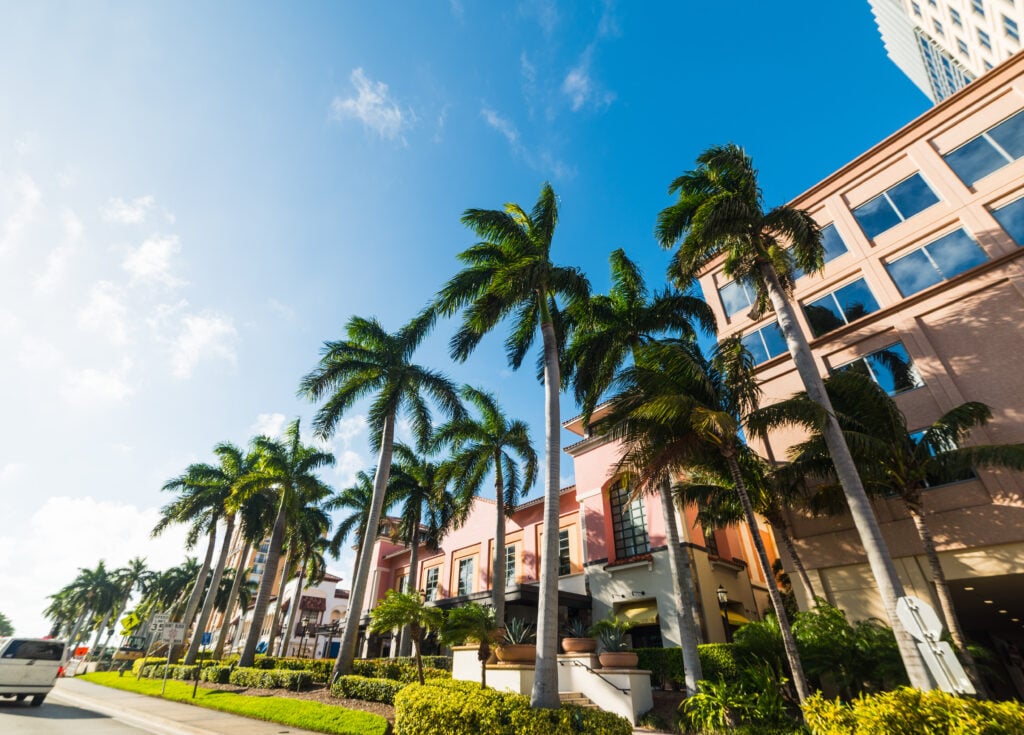Palm trees and buildings in sunny Florida. Discover Expert Tile & Flooring, top tile installation services nearby.